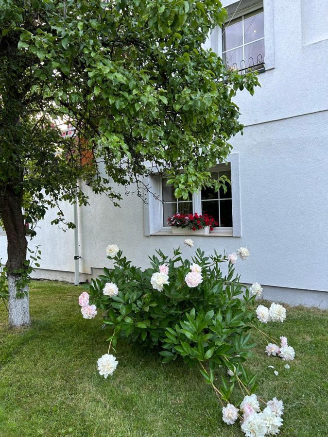 Apartamenty Stokrotka Lądek-Zdrój 외부 사진