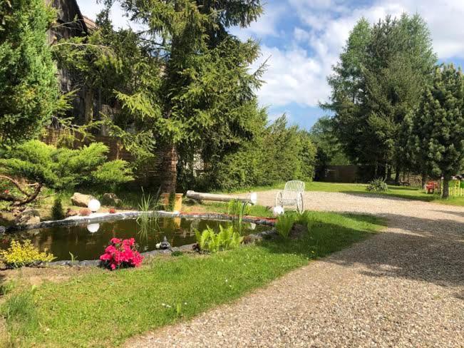 Apartamenty Stokrotka Lądek-Zdrój 외부 사진